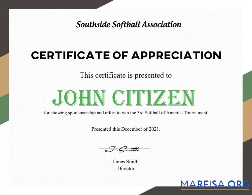 Printable USA Softball certificate example